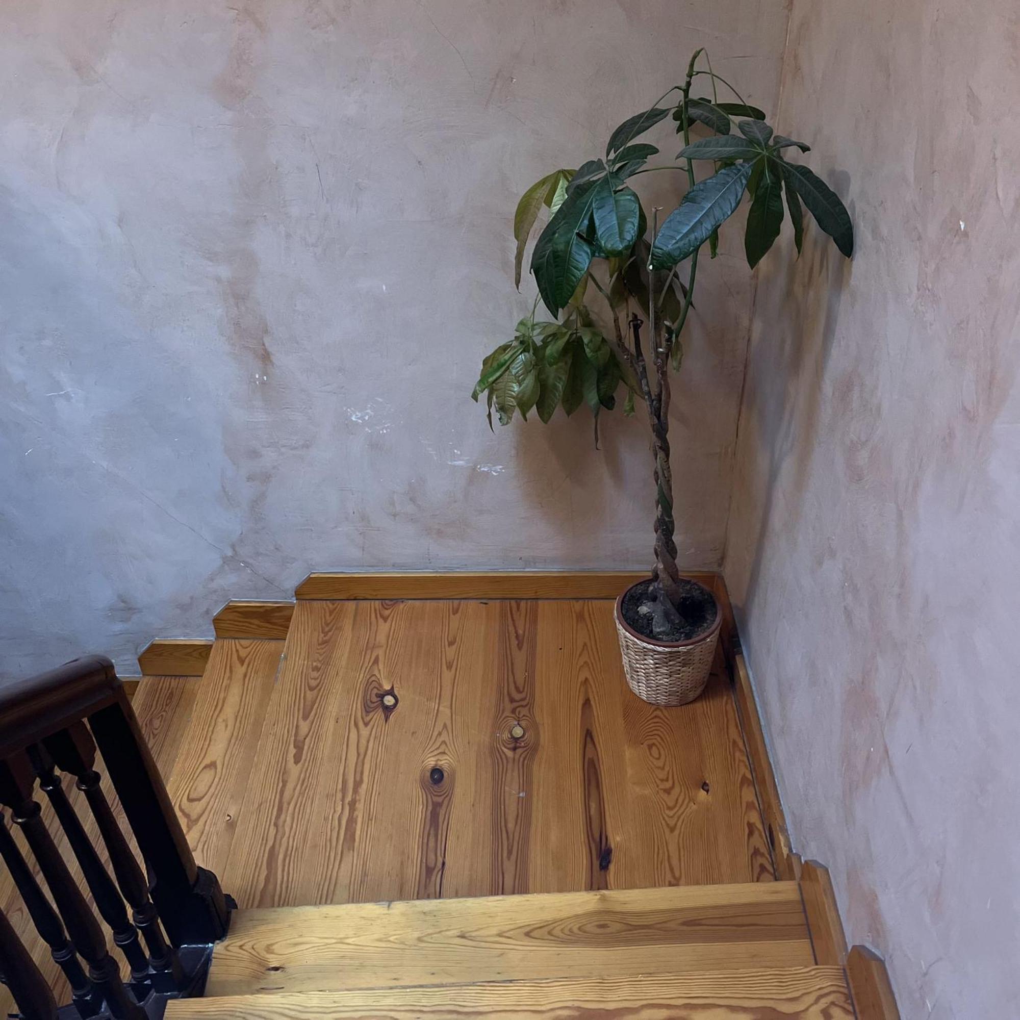 Calera 2 Apartment Burgo Екстериор снимка